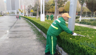 园林绿化设计中硬质景观搭配技巧有哪些？